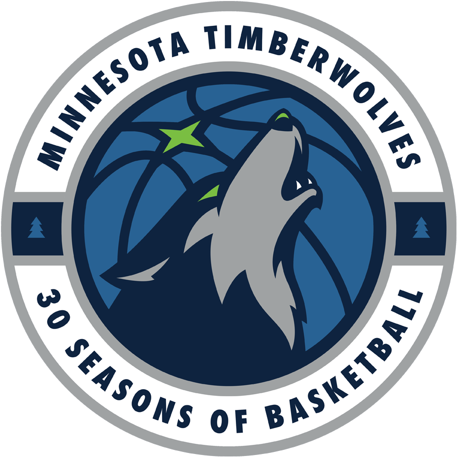 Minnesota Timberwolves 2019 Anniversary Logo DIY iron on transfer (heat transfer)